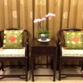 明式圈椅桌伴蘭花