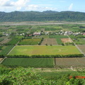 龍田大草原