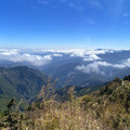 南橫三星、塔關山、關山嶺山、溪頭杉