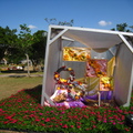 2009大安森林公園花卉展