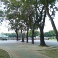 台中市太平區坪林森林公園之觀景台 / 自在主人攝影（20210326）
