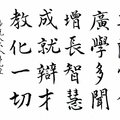《八大人覺經》菩薩廣學（白底）/ 自在老師書（20220407）