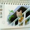 小女兒製作的貓咪月曆（封面）