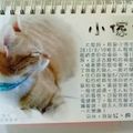 小女兒製作的貓咪月曆（封底）