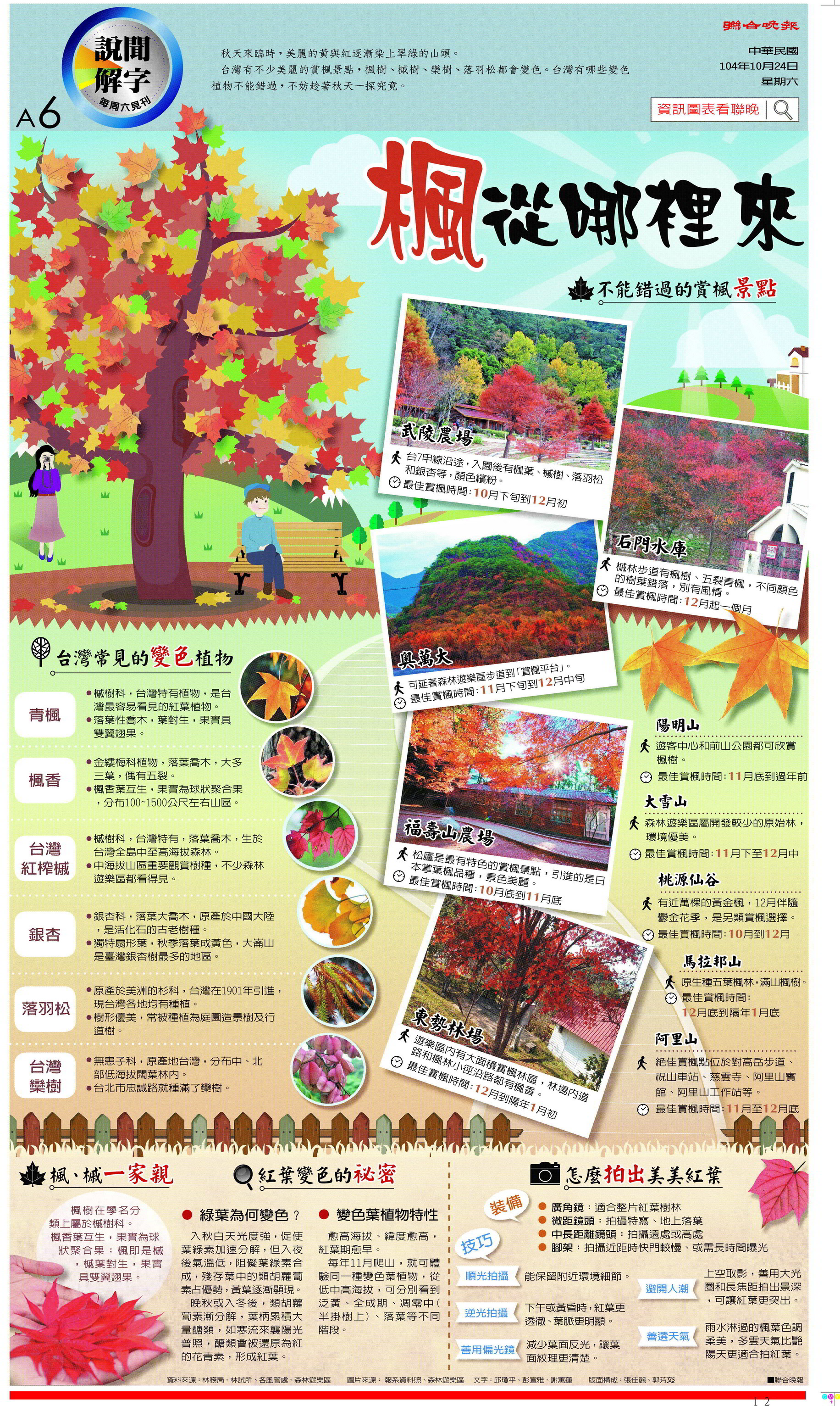 資訊圖表／楓從哪裡來- 部落格晚點名- udn部落格