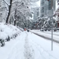 2022.12.20.雪後早晨@溫哥華 中國城 - Granville st.