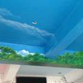 3D壁畫 牆壁彩繪 地板彩繪 天花板彩繪 百酈藝術公司