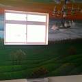 3D彩繪 中部彩繪村 牆壁彩繪 壁畫 百酈藝術公司