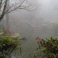 溪頭--大學池--霧之美