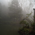 溪頭--大學池的霧之美