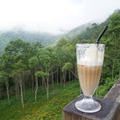 咖啡杯與山巒-4