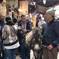Donkey in Fes
(We tip the owner for the shoot)