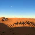 撒哈拉沙漠 