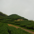 雲嘉‧大尖山、 二尖山