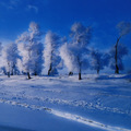 千山暮雪