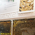 雲林古坑蜜蜂故事館