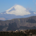 遠眺富士山