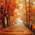 Orange Autumn - Krackow, Poland