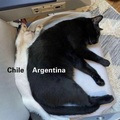 智利與阿根廷