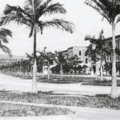 1930 年代臺大椰林大道