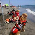克羅埃西亞的海灘救生員