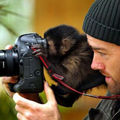 現在只要有台單眼，連猴子都自認是攝影師了。