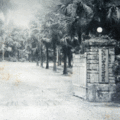 1930 年代台北植物園正門