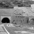 1972 年辛亥隧道