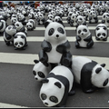 台北1600貓熊世界之旅