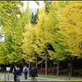 中島公園以藻岩山為背景，坐落在札幌的市中心，公園裏小溪環繞，綠樹成蔭是放鬆休閑的好場所。 
公園縂面積大約有21公顷，被入選為｢日本的都市公園100選｣的公園之一。 