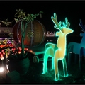 馬車和耶誕燈飾