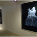 X光透視藝術攝影展