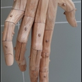手考足思 - 是日本陶藝家河井寬次郎的名言 (1890-1966) 
學習用手和腳思考, 沒通過身體學習, 是不真實的