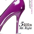 5克拉的 Mr.Right
