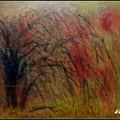 風中的樹 油彩 1996