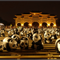 台北1600貓熊世界之旅