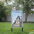 Tikal-瑪雅文明遺址1-4