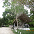 Tikal-瑪雅文明遺址 1-5