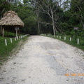 Tikal-瑪雅文明遺址 1-6