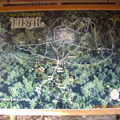 Tikal-瑪雅文明遺址 1-9