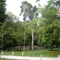 Tikal-瑪雅文明遺址 1-10