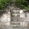 Tikal-瑪雅文明遺址 2-5