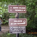 Tikal-瑪雅文明遺址 2-9