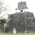 Tikal-瑪雅文明遺址 3-1
