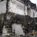 Tikal-瑪雅文明遺址 3-5