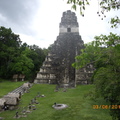 Tikal-瑪雅文明遺址 3-7