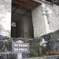 Tikal-瑪雅文明遺址 3-8