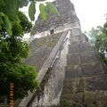 Tikal-瑪雅文明遺址 8-5