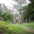 Tikal-瑪雅文明遺址 9-3