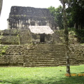 Tikal-瑪雅文明遺址 9-4